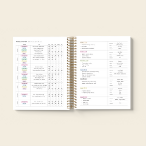content scheduling organizer​ 2