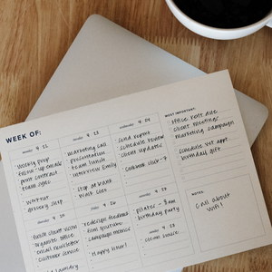 organized notes bundle